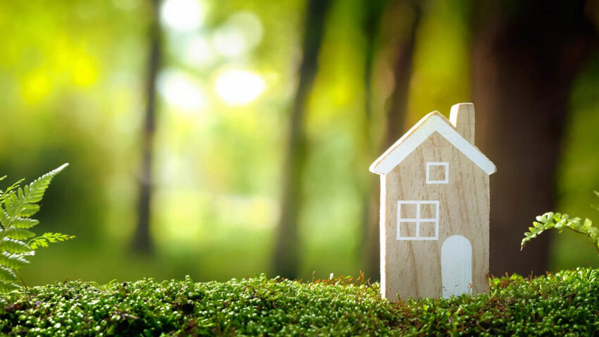 Green Your Home: Make Your Home More Environmentally Friendly