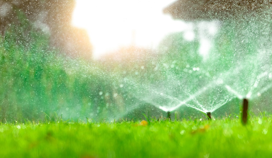 How Long Should You Water Your Lawn