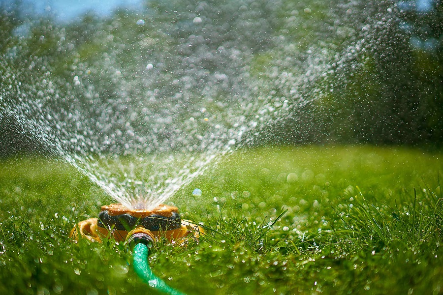 How Long Should You Water Your Lawn? A Guide to Optimal Lawn Irrigation