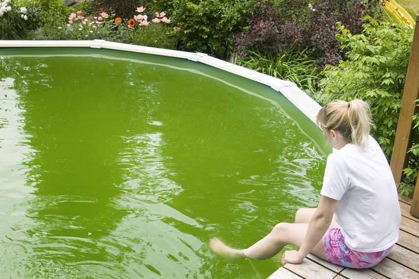 How to Clear Green Pool Water Fast