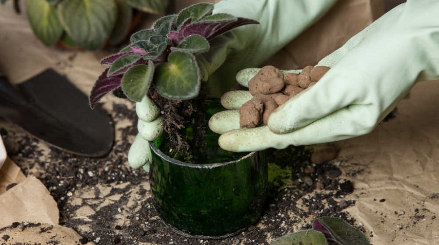 Soil Saving Tricks for Planting Big Pots