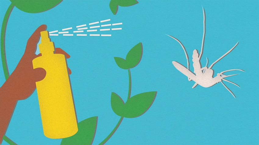 What homemade spray kills bugs?