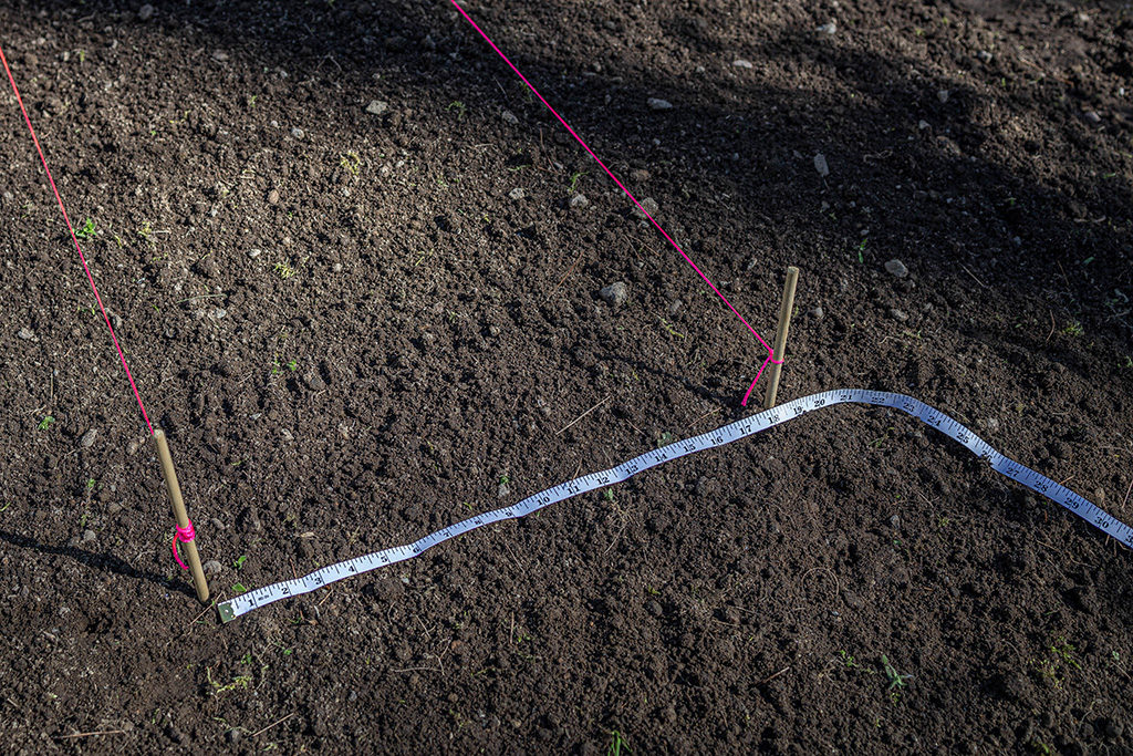 What is a Good Size Garden?