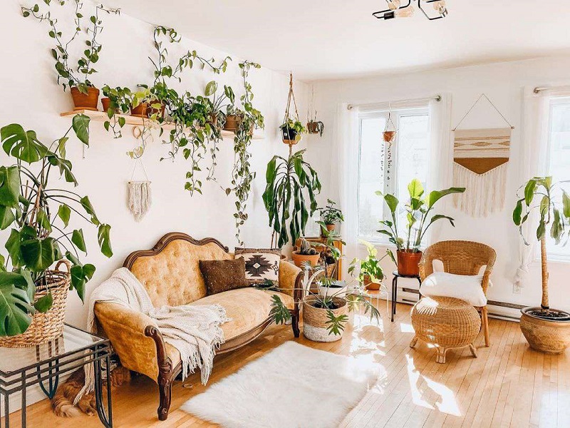 Decorating with Indoor Gardening: Greening Your Space, Elevating Your Style