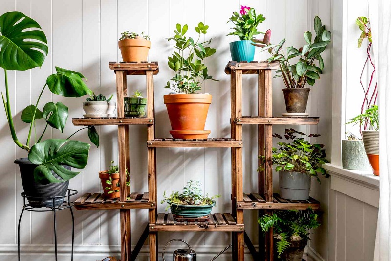 Getting Started with Indoor Gardening