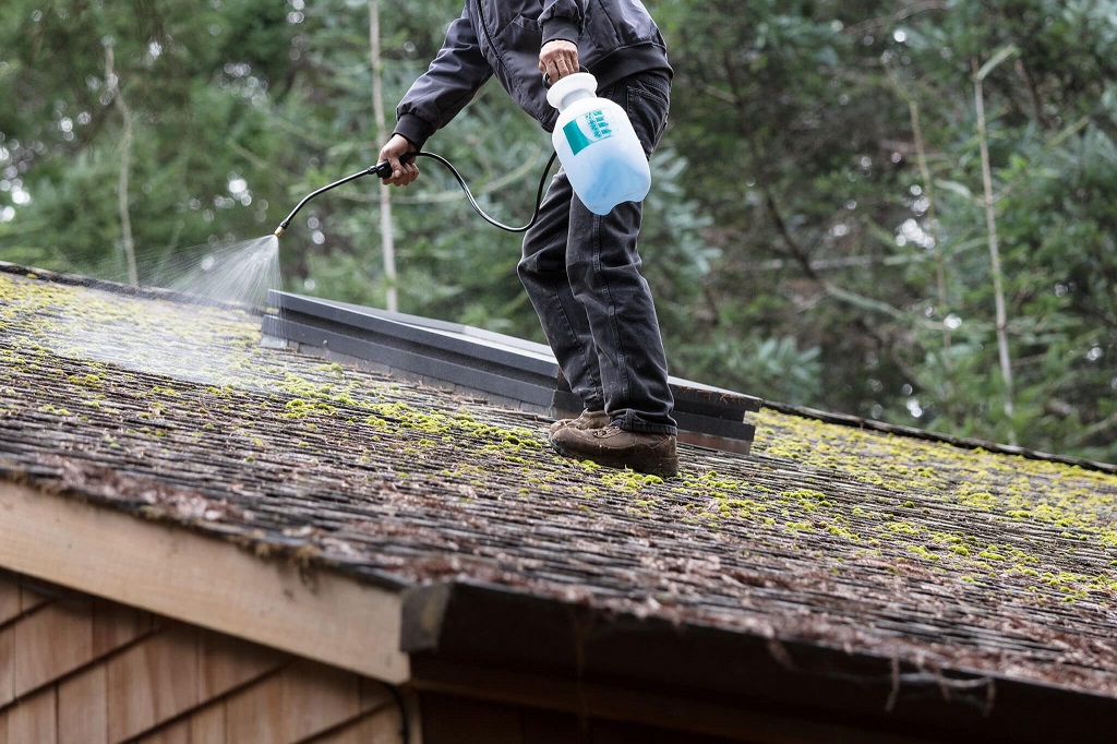 What is the best way to clean moss off a roof?