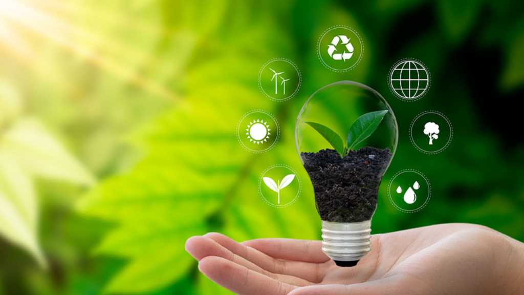 Eco-warrior in Training: Simple Ways to Live a More Environmentally Friendly Life